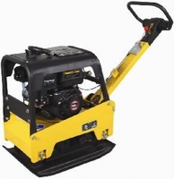 CNP 30Y